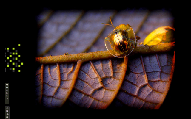 Natural Photography<br>{ Web Site - Photo Portfolio } alecaldo-website