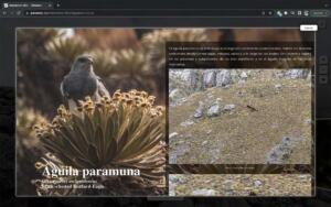 paramos-setian-09 (1)