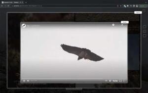 paramos-setian-10 (1)